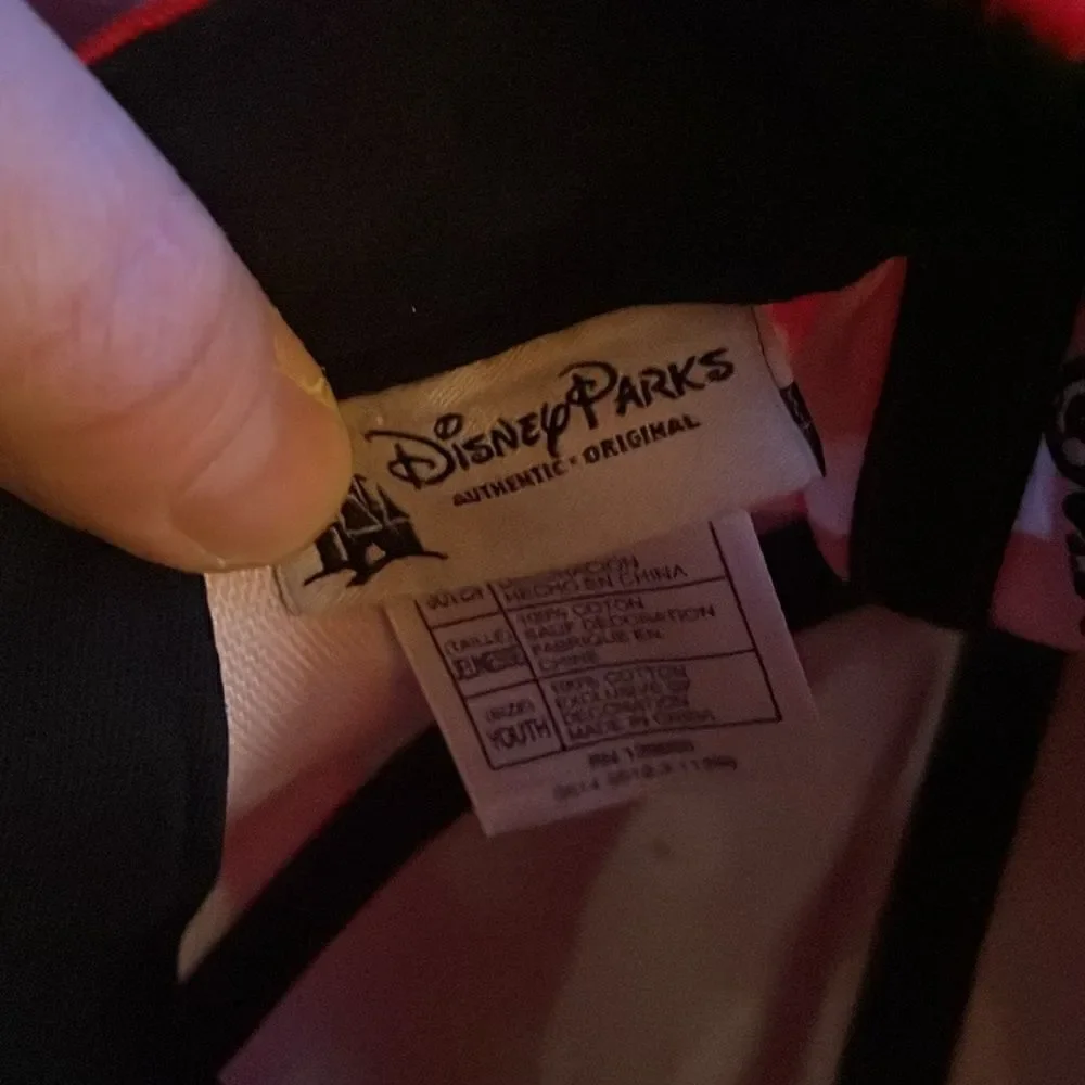 Minnie Hat from Disney world